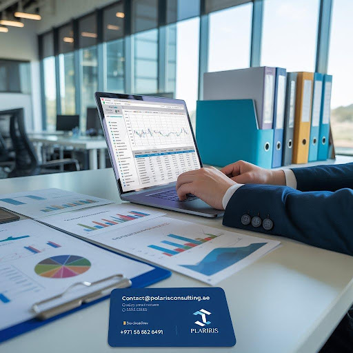 Facts to Learn about the Best Outsourced Accounting Services in Dubai